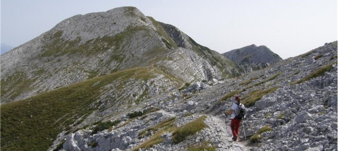13.6.2026 Pohod Ribčev Laz-Planina Suha-Rodica(1964m)-Črna prst(1844m)-Orožnova koča-Žvan-Polje 13.6.2026 Pohod Ribčev Laz-Planina Suha-Rodica(1964m)-Črna prst(1844m)-Orožnova koča-Žvan-Polje